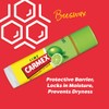 Carmex Lime Click Stick 4.25 g