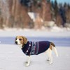 SCENEREAL Dog Sweaters for Large Medium Small Dogs, Warm Puppy