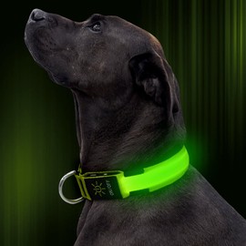 Illumifun LED Dog Collar, Adjustable Nylon Webbing Glowing Pet Safety Collar, USB Rechargeable Light Up Collars for Your Dogs (Blue, Large)