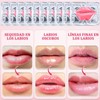 30PCS Mascarilla Labial de Colágeno, Mascarilla Labial Hidratante