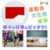 BOLSO Class Flags, Streamer Flags, 2 Sheets, White, Red, Approx.