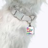 Quotable Pet Collar Charm, Do More of What Makes You