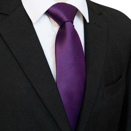 RBOCOTT 3.15" Purple Tie Business Wedding Necktie for Men(8cm)