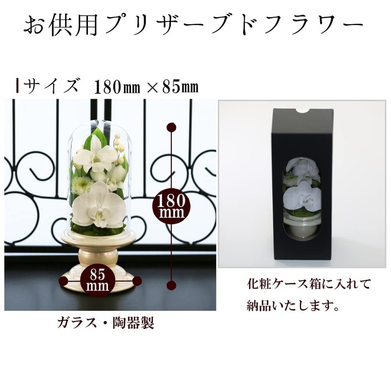 Art Four Seasons Buddha Flower (White) Mini Phalaenopsis Mini Glass