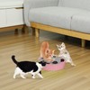 Pawaboo Interactive Toy with Running Mouse, Electronic Motion Cat Toy
