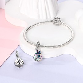 Hapour 925 Sterling Silver Charms Mom Dangle Charm for Bracelet Necklace Heart Love Charm Beads for Women Grandmother Mother's Day