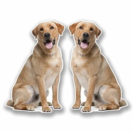 2 x 15cm Labrador Vinyl Stickers Decals Laptop Car Bike Dog Fridge #9774 (10cm Wide x 15cm Tall)