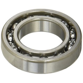 BEARING 6007