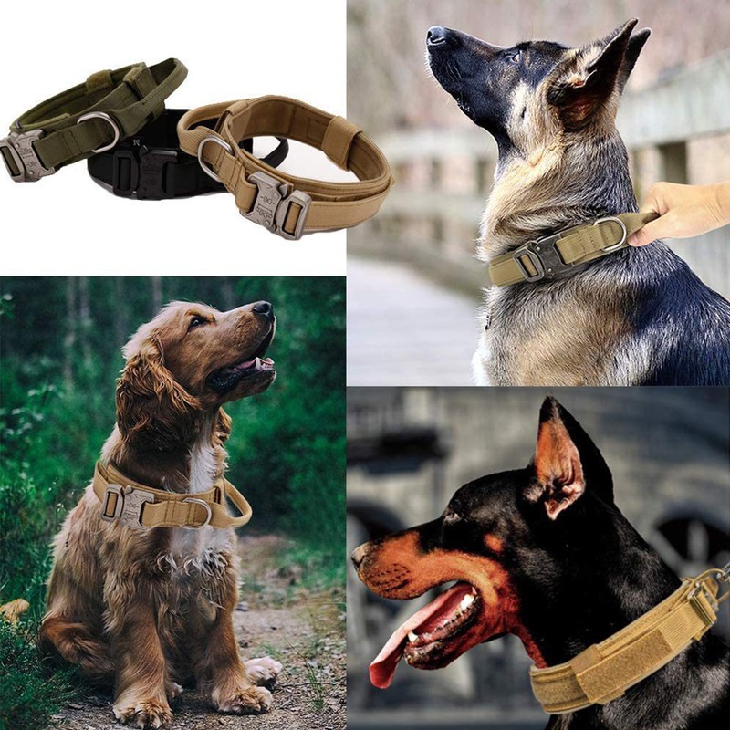 Adjustable Dog Collar Comfortable Breathable Pet Dog Collar with Metal