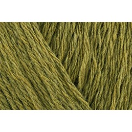 Stylecraft Recreate DK Crochet Yarn, Recycled Fibres Poly Wool Acrylic Blend Double Knitting Wool for Everyday Garments, Accessories, Cabling - 100g Ball - Avocado (3189) - Single (1 Ball)