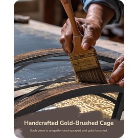 EDISHINE 20 Inch Fandelier Caged Ceiling Fans with Lights and Remote, 10%-100% Dimmable, Rustic Bladeless Ceiling Fan, Small Farmhouse Fan Lights Ceiling Fixtures for Kitchen, Bedroom-Brushed Gold