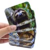Menique. Juego de Memoria Animales Salvajes en Inglés. Memory Matching