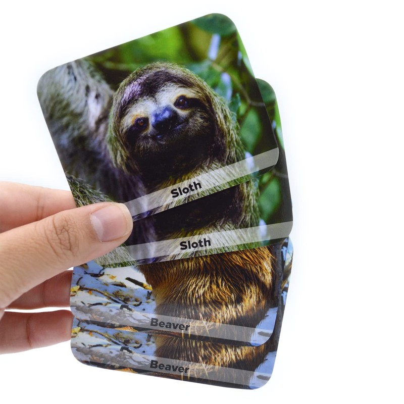 Menique. Juego de Memoria Animales Salvajes en Inglés. Memory Matching