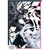 Pokémon - Trading Card Game: Poster Collection Einall (3 Holographic