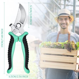 Lothee 9 Pcs Garden Shears Pruning Garden Clippers Bulk Bypass Pruner Heavy Duty for Gardening Hedge Plant Cutting Flower Scissors for Tree Trimming Bonsai Cutting Fruits Picking
