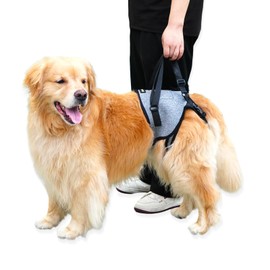 ZIDUEBIL 【UPGRADED】Dog Lift Harness for Large Dogs Support Up To 110lb with Handles Locks - Quick-Release Adjustable Mobility Support Harness for Arthritis Surgery Recovery Disabled Elderly Dogs (XL)