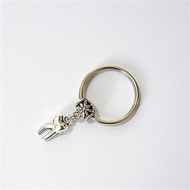 Dentist Dental Hygienist Keychain, Tooth Keychain, for Dentist