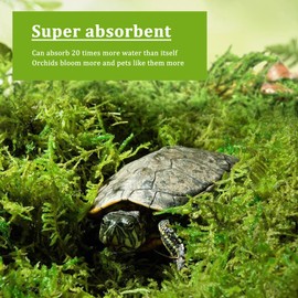 Natural Sphagnum Moss 200g Artificial Moss Decoration Forest Moss Dried Moss for Potted Plants Craft Moss Orchid Soil Medium for Terrarium Decor Reptile Snails Gecko Snake Turtles Substrate Habitat