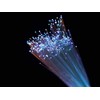 AKEPO PMMA END Glow Fiber Optic Light Cable 100pcs Ф0.03in(0.75mm)