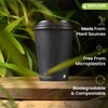 BIOFUTURE Biodegradable Coffee Cups – 50 x 6oz – 16oz