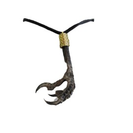 Real Crow Foot/Talon Claw Necklace Bird Feet Animal Bone Jewelry Gold N4885