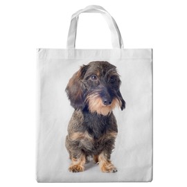 Designer Inspired Ladies Boutique Shopper/Tote Bag with Handles 38 x 42 – Dachshund/Teckel DACHSHUND Rough Hair and Sitting Dachshund Motif [19]