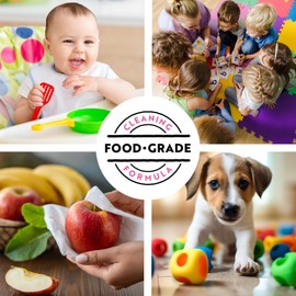 Natural Essentials Be Purposeful 400ct Cleaning Wipes, All Purpose Food-Grade Cleaner, Non-Sticky Plant-Based Cloth - Kitchen, Baby Toys, Cribs, Pacifier Wipe, Strawberry Scent (2 PK)