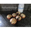 SanFranSourdough California SOUR STARTER tangy active strong Sourdough bread Organic