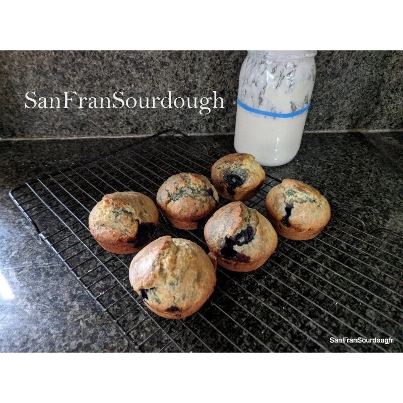 SanFranSourdough California SOUR STARTER tangy active strong Sourdough bread Organic