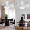ocioc Quiet Ceiling Fan with LED Light 22 inch Large