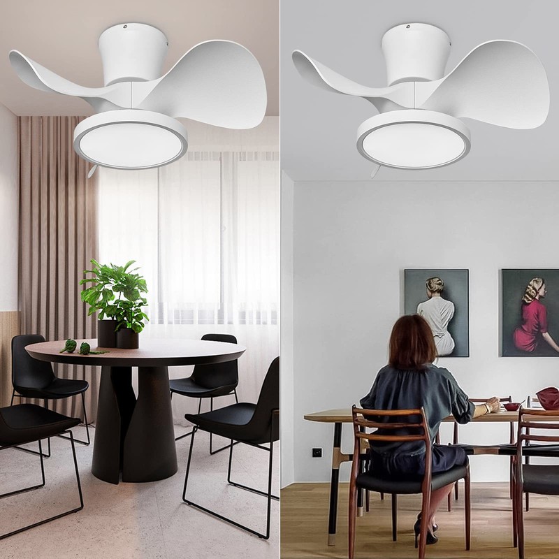 ocioc Quiet Ceiling Fan with LED Light 22 inch Large