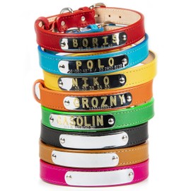 Collar de perro con placa de identificación, Collar personalizado para mascota, Collar de piel para perro con nombre y teléfono placa remachada,...   