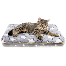 Tierecare 2 Pack Cat Blanket for Indoor Cats Ultra Soft and Warm Calming Cat Bed Fleece Pet Mat for Anxiety and Stress Washable Kitten Blanket