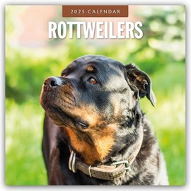 Rottweilers - Rottweiler 2025 - 16-Monatskalender: Original Red Robin Publishing Ltd-Kalender [Mehrsprachig] [Kalender]
