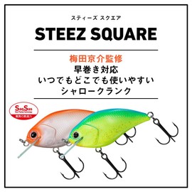 DAIWA 25 STEEZ Square 100 Lure, Blue Back Chart