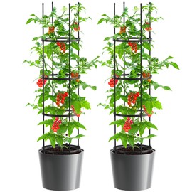 UrGROWA Tomato Planter Box with Trellis, Self Watering Rolling Raised Garden Bed with Water Level Monitor for Climbing Vegetables Plants Cage, Garden Planters Plant Pots for Plants Flowers Decor