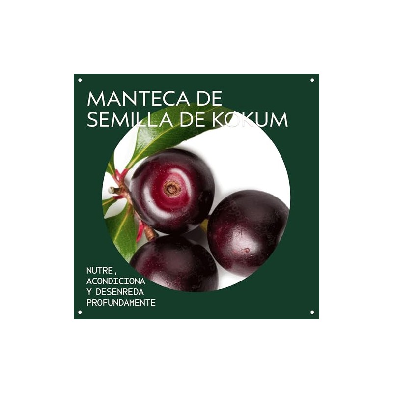 Aveda Be Curly Advanced Acondicionador Hidratante | cabello rizado