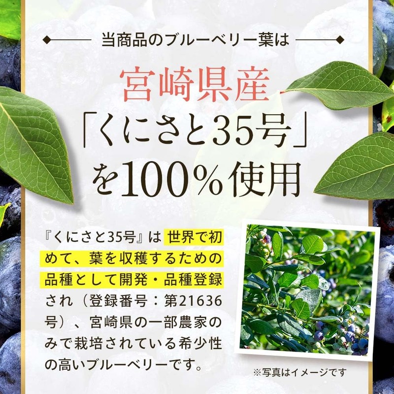 【残留農薬検査済】ブルーベリー葉 粉末 10g パウダー ポリフェノール アイケア 宮崎県産 くにさと35号 添加物不使用