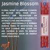 Original Satya Nag Champa Jasmine Blossom Incense Sticks | with