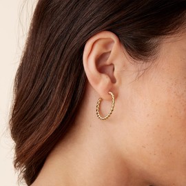 PAVOI 14K Gold Plated 2.5mm Twisted Rope Round Hoop Earrings (16 Millimeters, Yellow Gold Plated)