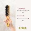 GB KENT LS17 Luxury Pig Hair Hair Brush, Medium Boa