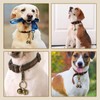 Coollooda Bell Collar Dog Cat Collar Accessory Diameter 0.8 inch