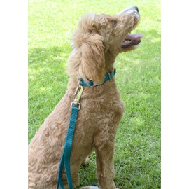 Country Brook Petz Premium Nylon Dog Collar and Leash Set for Small Medium Large Dogs - Vibrant 30+ Color Selection (Extra Large, 1 Inch, Teal)
