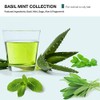 MOP Gel, Basil Mint, 5.1 Fl Oz