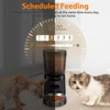 Automatic Cat Feeder, Cat Food Dispenser with Stainless Steel Bowl,