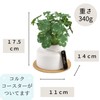 Kishima KH-61251 Artificial House Plants, Fake Green, Artificial Plants, Never