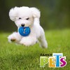 Fancy Pets Juguete Dona Sound Tamaño Chico para Perro