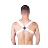 Prowler Sports Harness - Red
