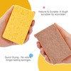 Biodegradable Natural Kitchen Sponge Eco Scratch Free Compostable Cellulose Sisal