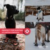 Ultra Paws Rugged Dog Boots and Paw Protectors for Small,